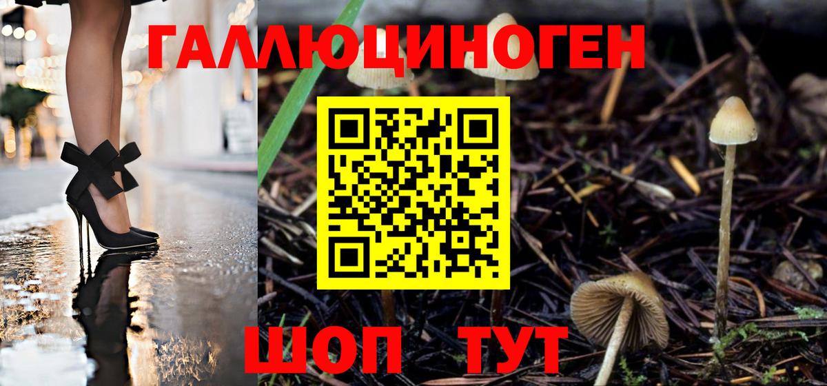 Псилоцибиновые грибы MAGIC MUSHROOMS Абинск