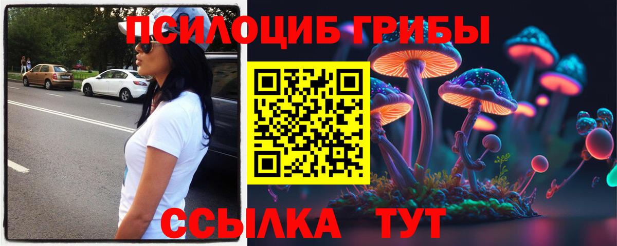 Псилоцибиновые грибы Magic Shrooms  Вход с VPN  Абинск  Псилоцибиновые грибы мухоморы 